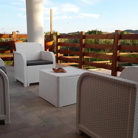 Rosa 셀리아 마리나